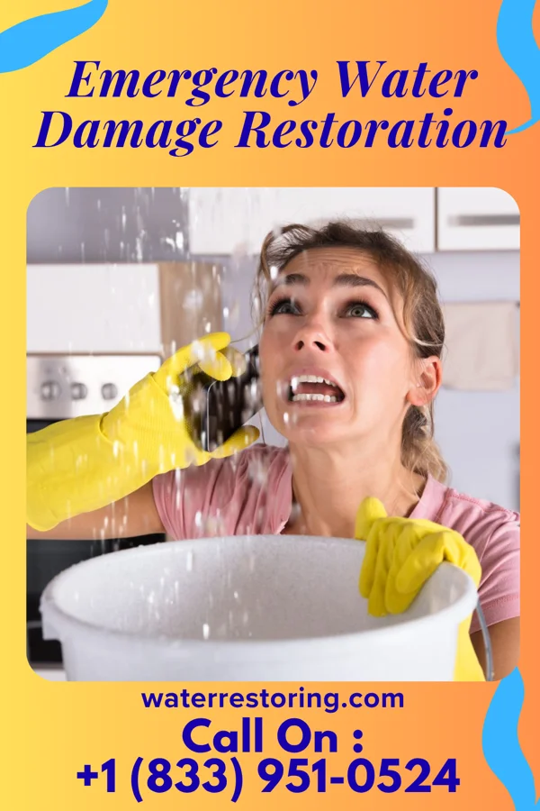 Emergency Water Damage Restoration in Taylor, AL